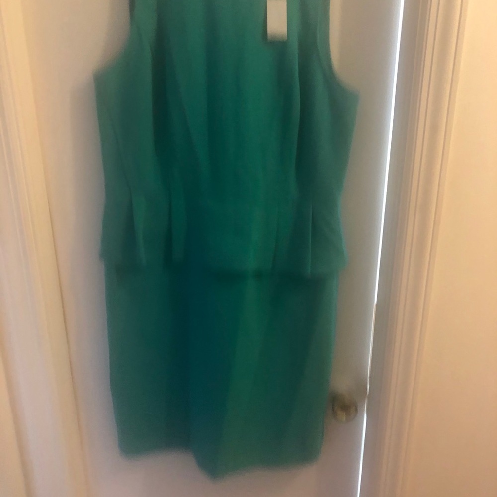 Ann Taylor dress NWOT - Picture 13 of 13